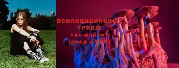 ГАЛЛЮЦИНОГЕННЫЕ ГРИБЫ Балабаново