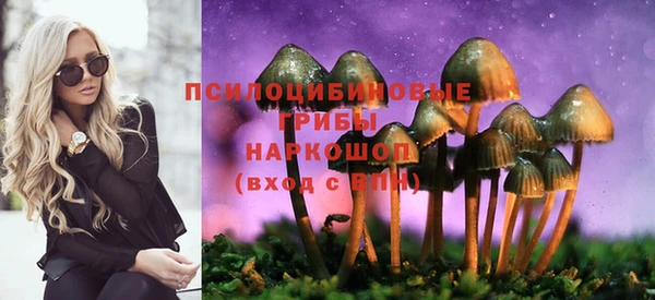 амф Протвино
