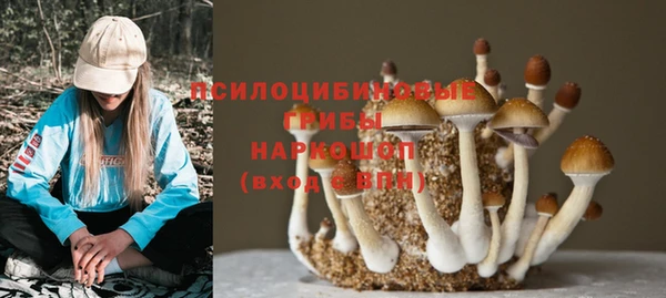 тгк Баксан